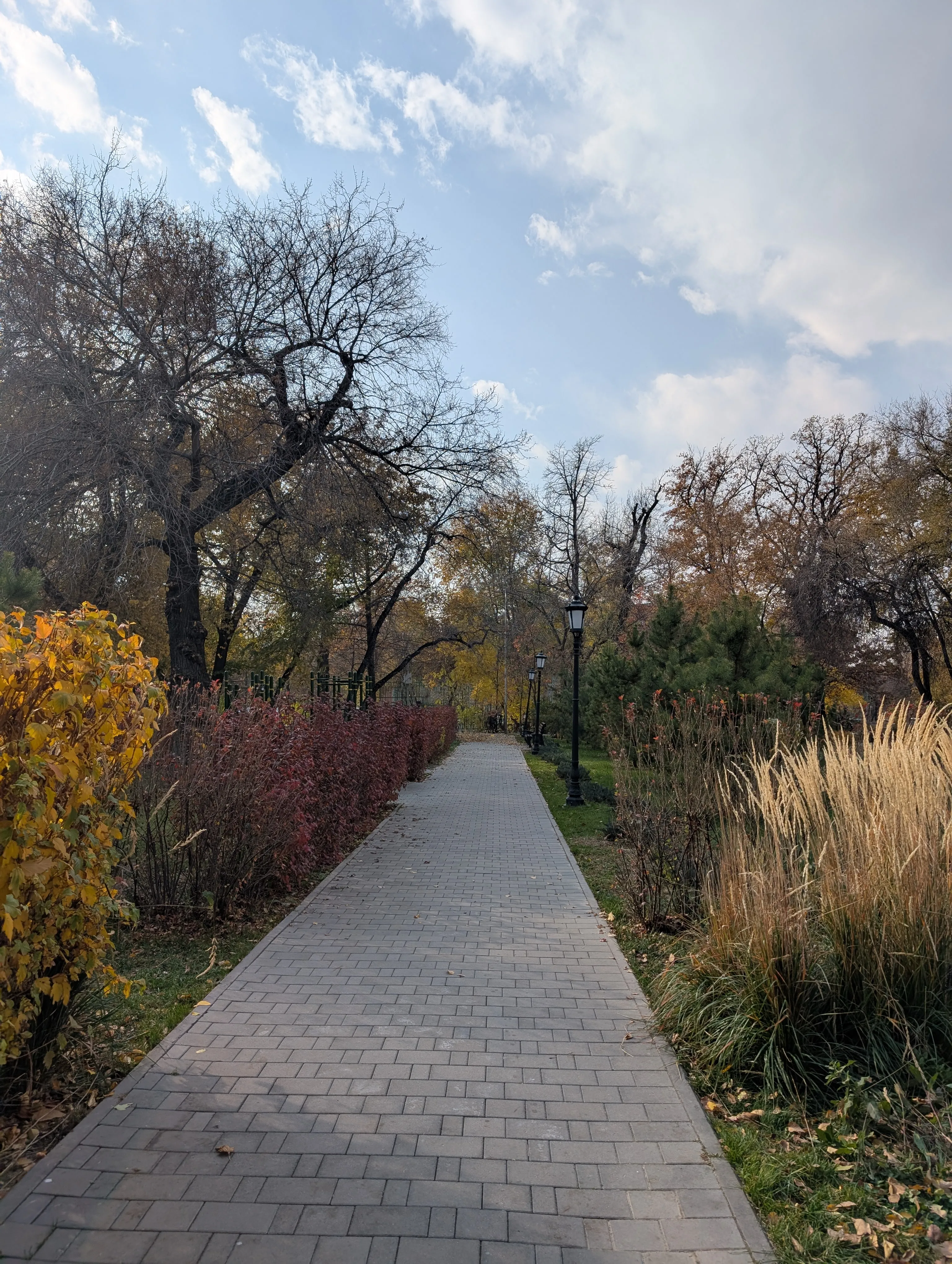 A park path in the city in autumn: a paved walkway running between clipped hedges and tall ornamental grasses, under trees half turned to yellow, with bare branches and open sky above