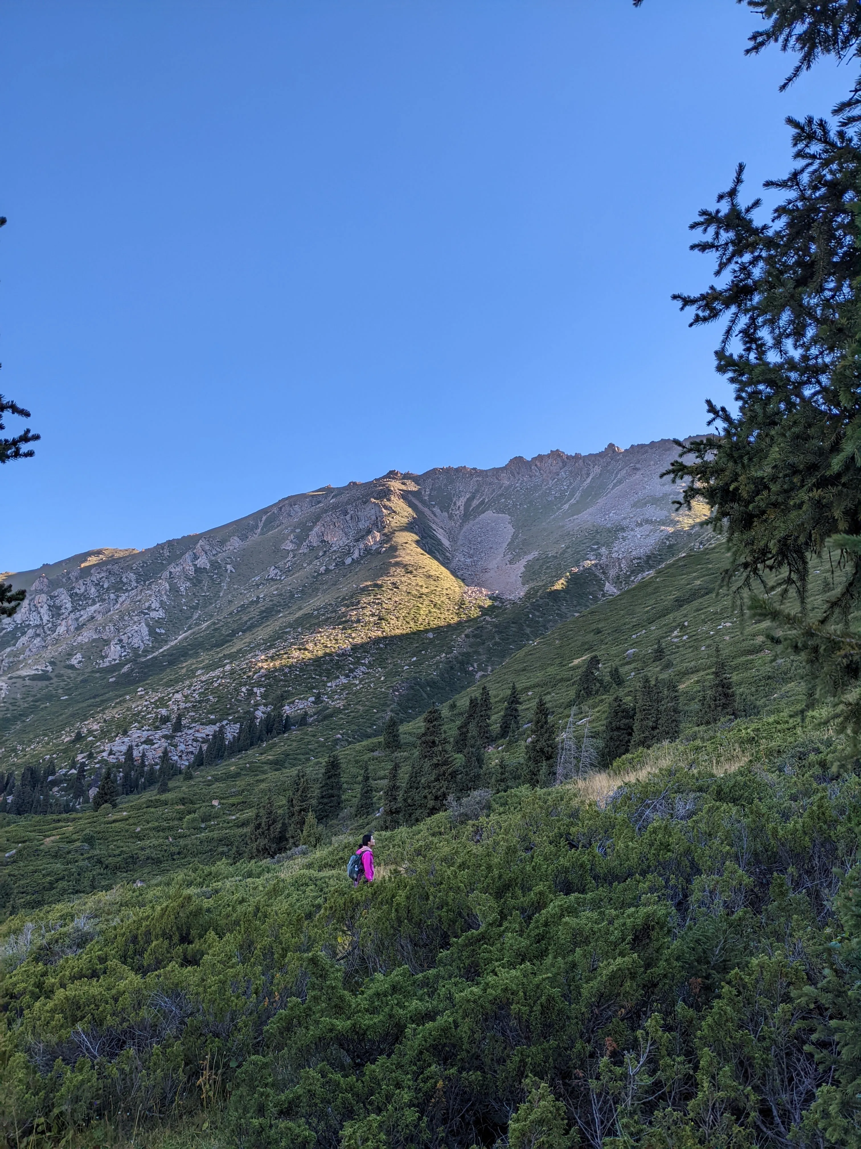 A walker on the grassy trail above Big Almaty Lake, a bald green ridge climbing ahead with spruce forest on the lower slopes and a clear sky
