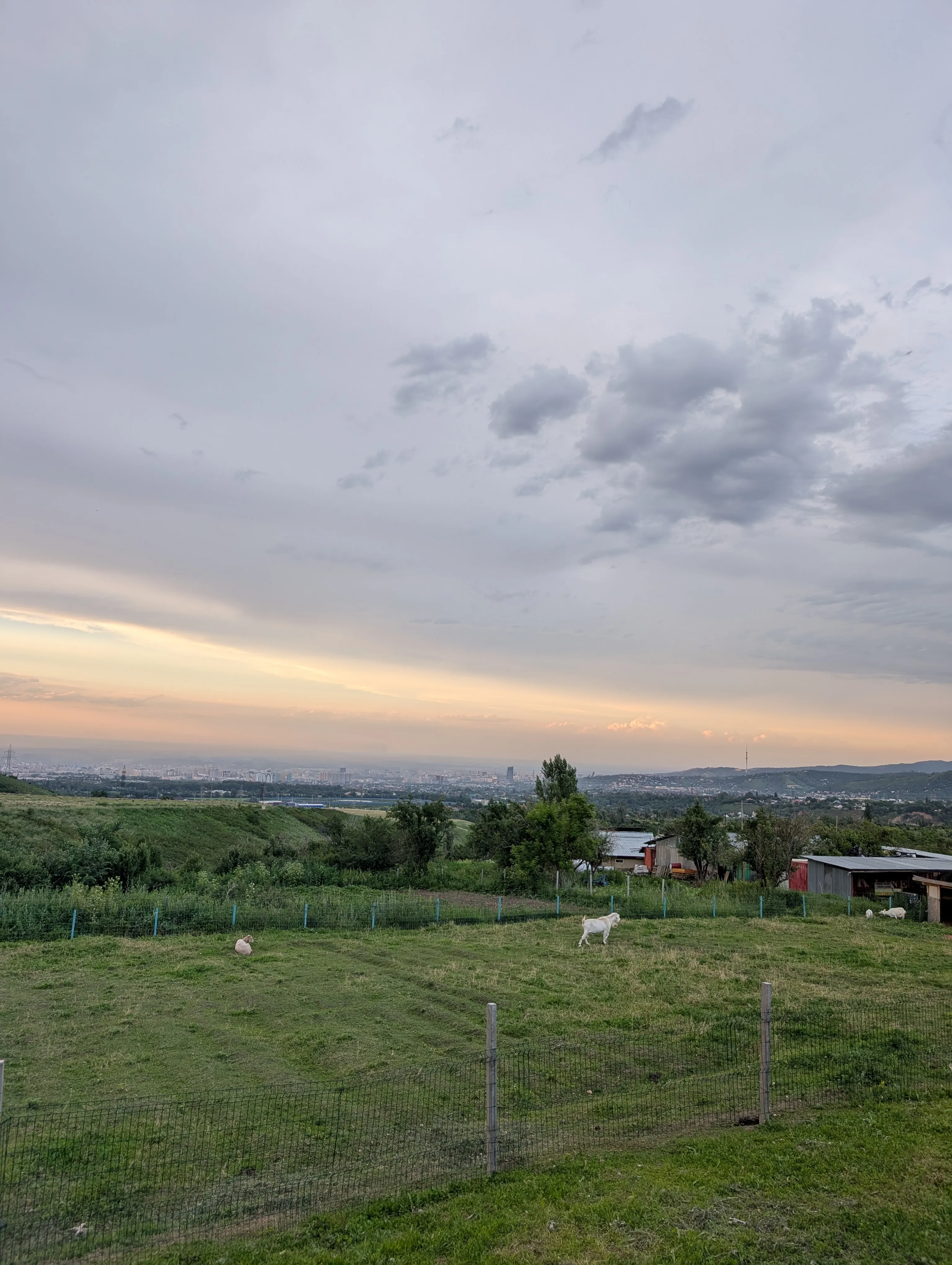 The paddock at Almaty Hills at dusk, with Almaty spread across the plain below and a television tower on the ridge