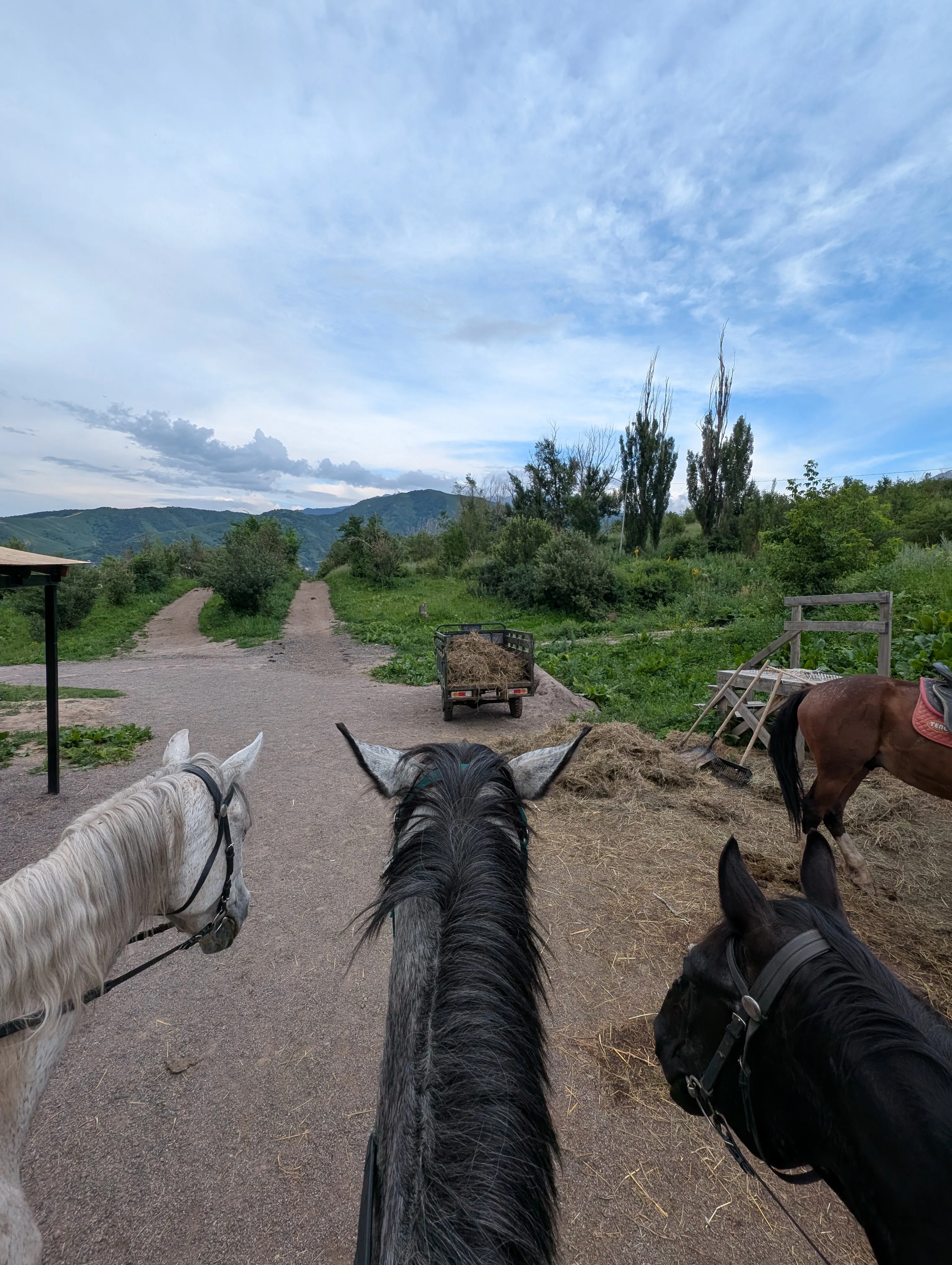 Three saddled horses at the Almaty Hills yard, seen from the saddle, with hay, a cart and the foothills behind