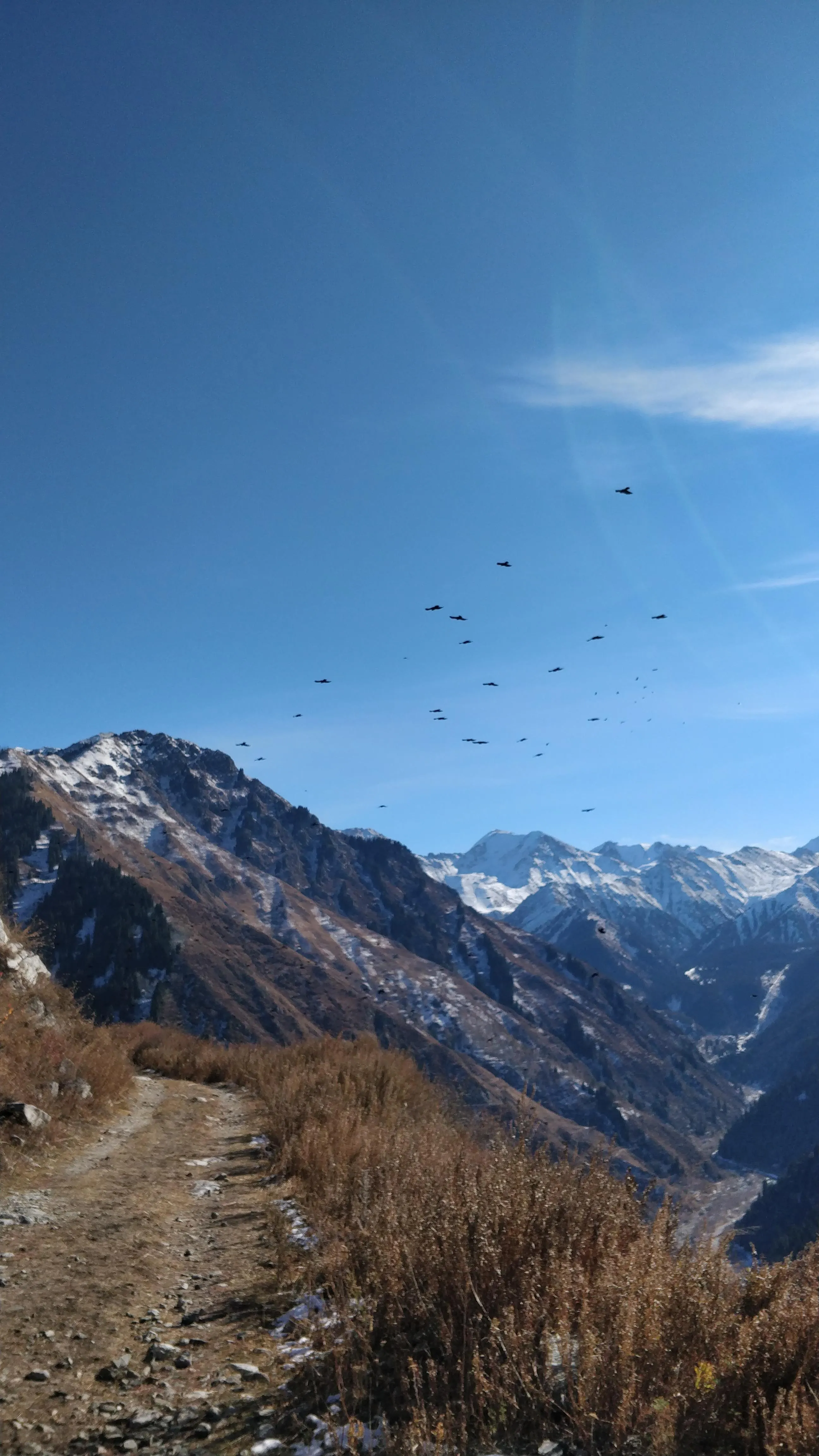 The Japanese trail above Ayusai: a dirt path along a dry autumn slope, a flock of birds over the gorge, and snow-covered peaks at the head of the valley