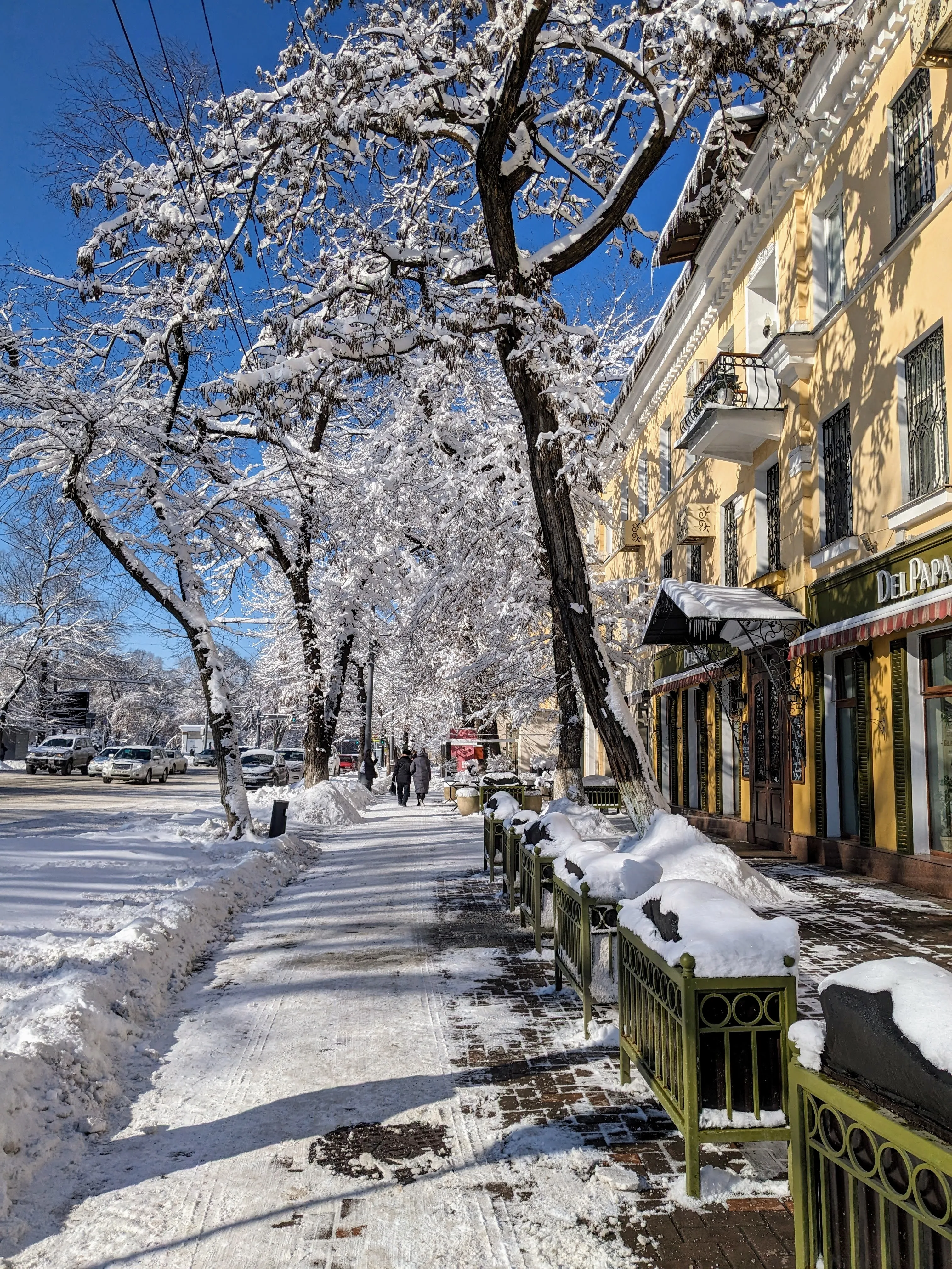 The same block after heavy snow: the pavement cleared to a dark ribbon, snow piled on the railings and the awnings, and the whole avenue of trees white against a hard blue sky