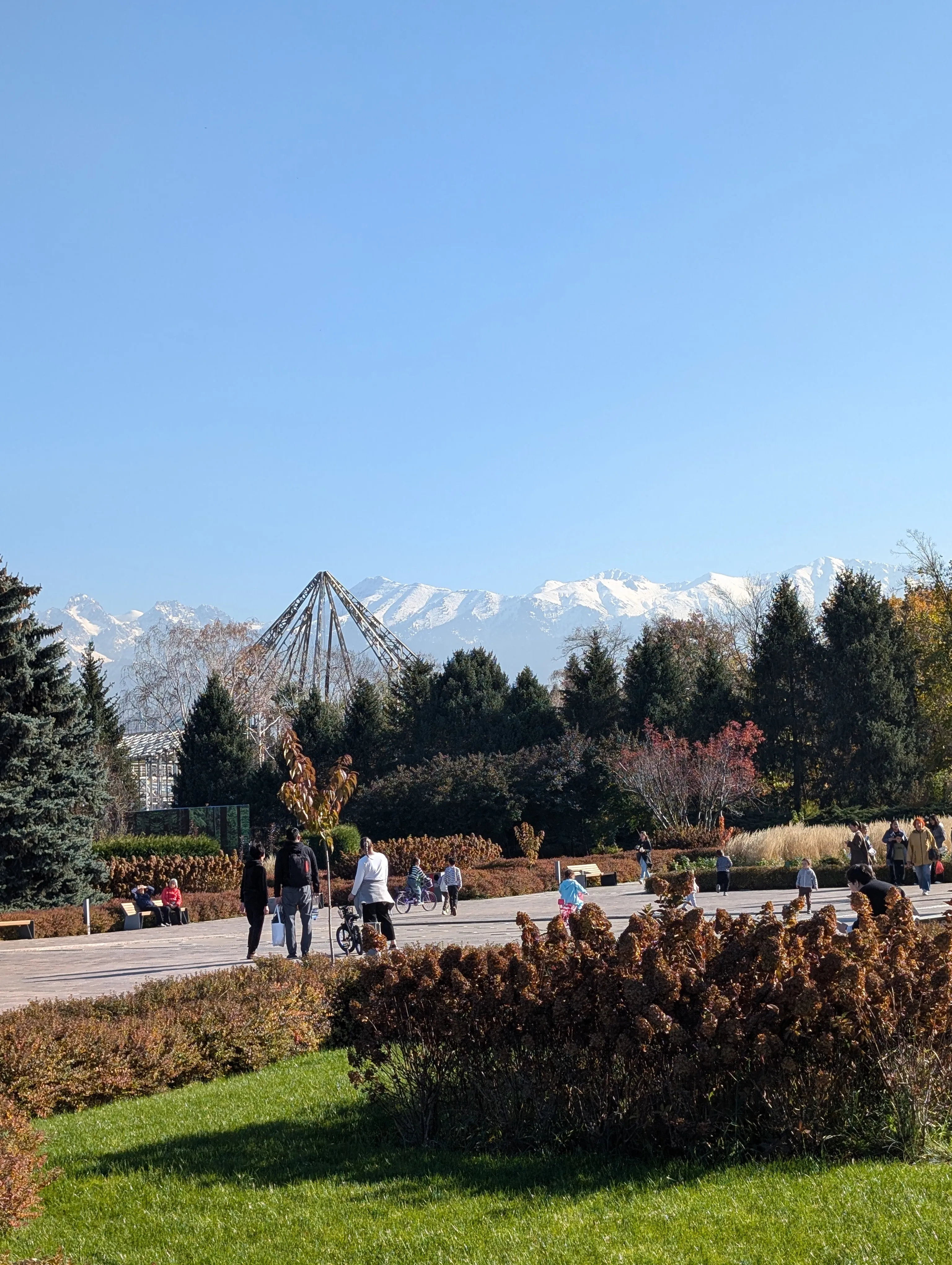 The main walk in the botanical garden in autumn: clipped beds of russet hydrangea and low hedges, people strolling, and the snow-covered Tien Shan filling the horizon behind the conifers