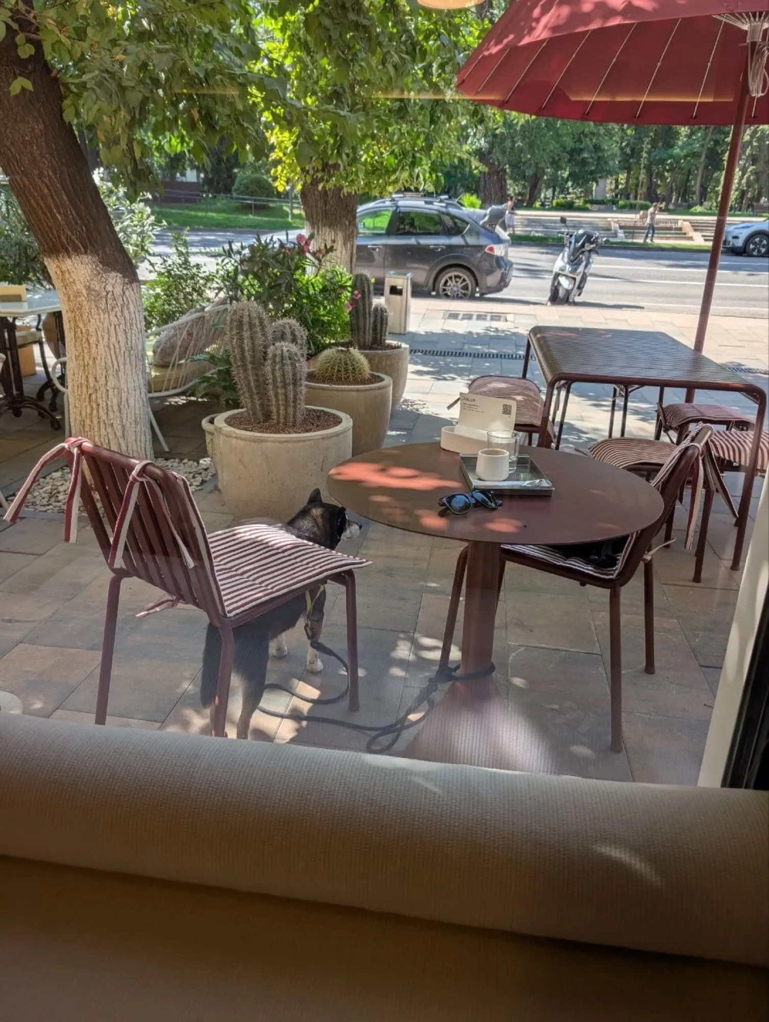 Outside Julius Specialty Coffee